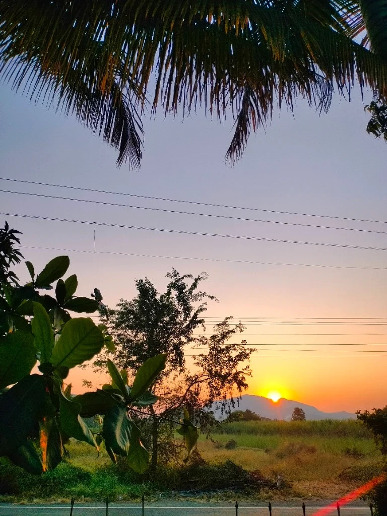 Festive Golden Hour