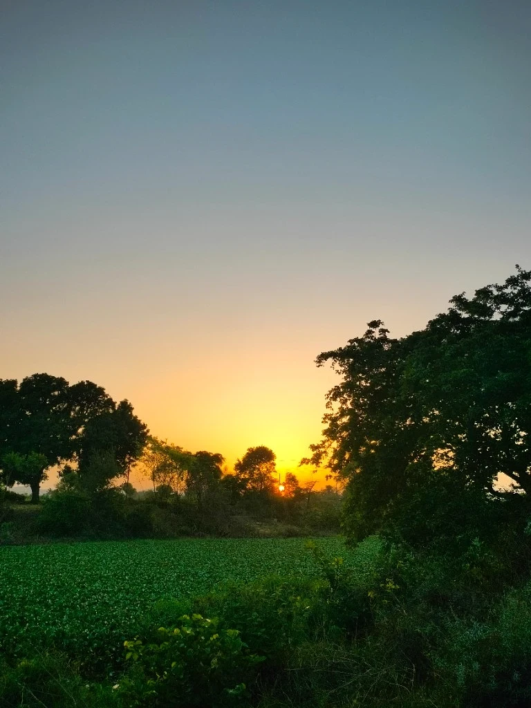Sunset over the Fields