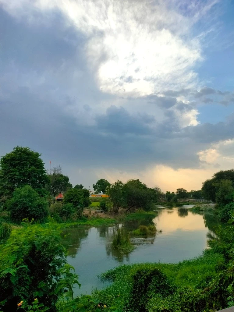Golden Light by the River