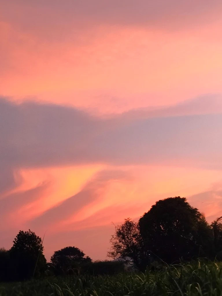 Cotton Candy Horizon