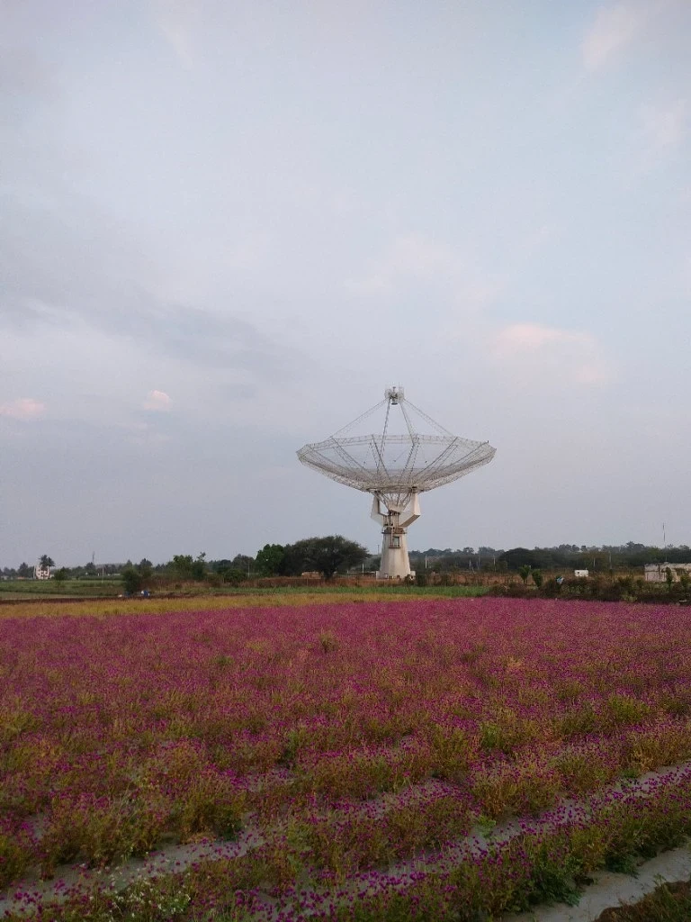 Technological Bloom